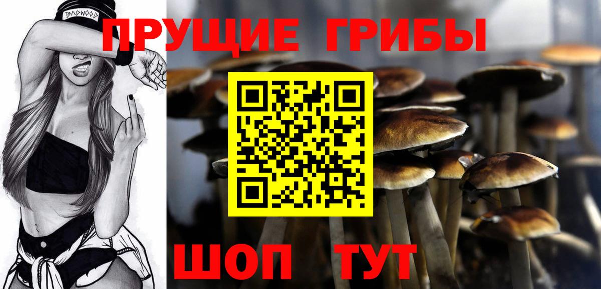 Галлюциногенные грибы Cubensis Озёрск